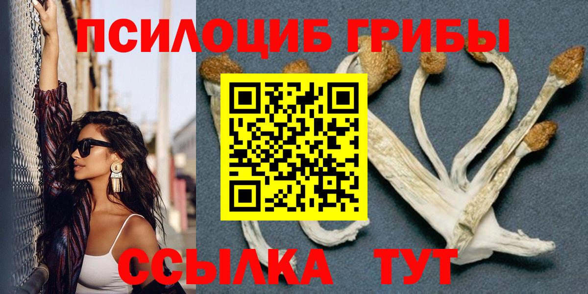 Галлюциногенные грибы Psilocybine cubensis Павлово