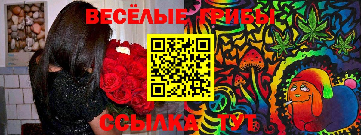 Павлово  Галлюциногенные грибы MAGIC MUSHROOMS  Вход с VPN 