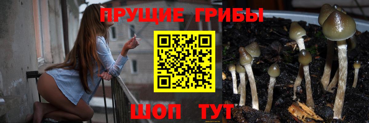 Псилоцибиновые грибы мухоморы Павлово
